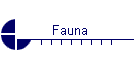Fauna