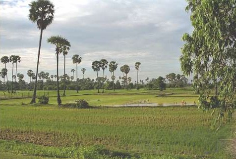 A look out of the window during that very, very slow train ride to Sihanoukville.