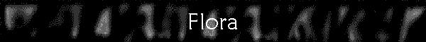 Flora