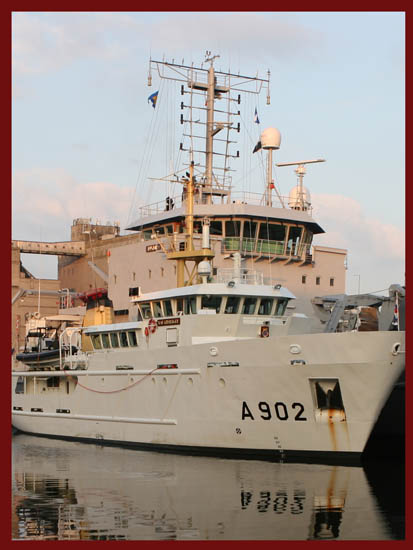 navi (1)