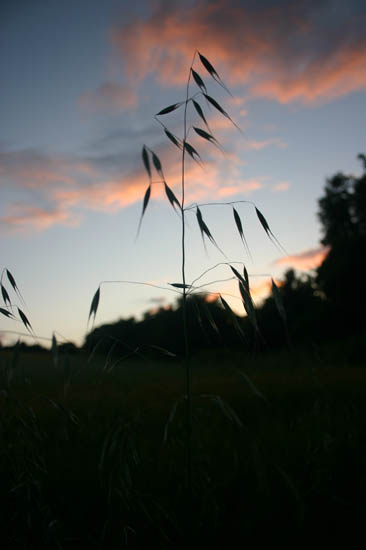 july04_ (6)