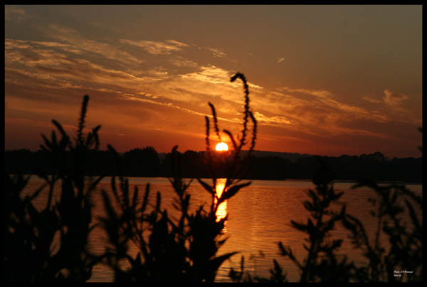 Superb_Sunsets (17)