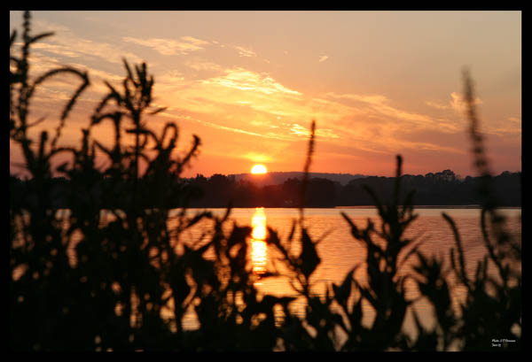 Superb_Sunsets (9)