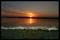 Superb_Sunsets (1)