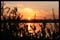 Superb_Sunsets (9)