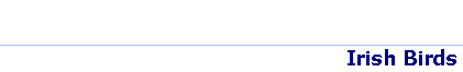 title_pwork.gif (1797 bytes)