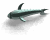 Great info on Irelands Game Fishing