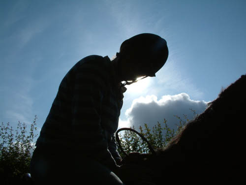 rc horse1 (23)