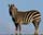 fota_20th feb_04 (3)