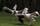 fota_mar05 (44)