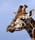 fota_mar05 (91)