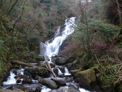 Torq2002_1227_114116AA