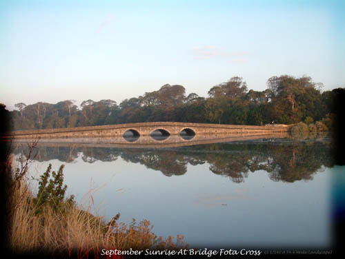 fota bridge relfect 2