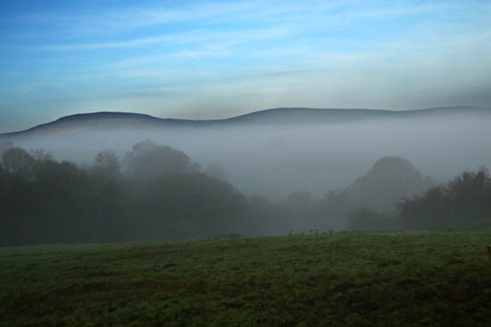 IMG_0964 (1)