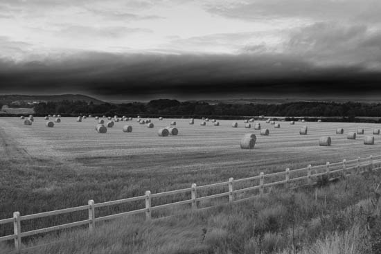 IMG_5908bw