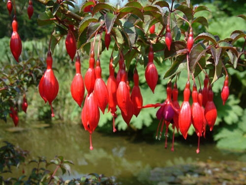 fgdns_may_03 (56)