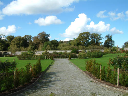 fota gdns july 03 (14)