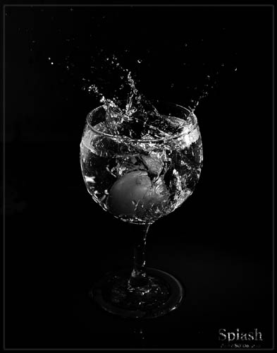 splash 2