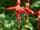 fgdns_may_03 (33)