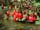 fgdns_may_03 (56)