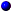 redblue button.gif (1701 bytes)
