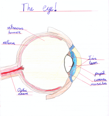 The Eye