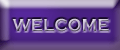 A BRIEF DESCRIPTION OF MIKES SIGN SERVICES