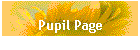 Pupil Page