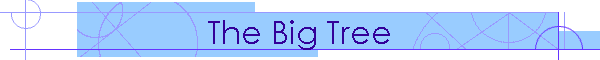 The Big Tree