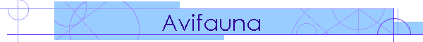 Avifauna
