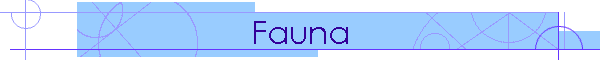 Fauna