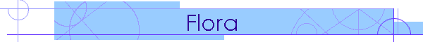 Flora