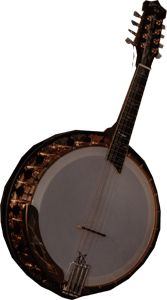 CUSTOM ELITE BANJO