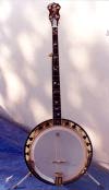 5STRING AND PLEC BANJO IMG.