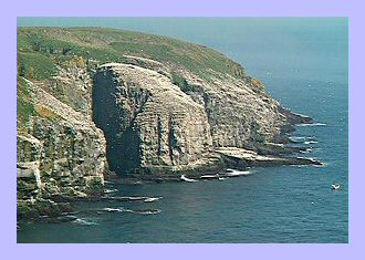 Cape St Marys Newfoundland