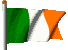 the Irish flag
