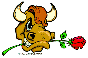 No Bull