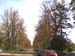 The drive up to Castletown House