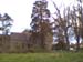 The Church