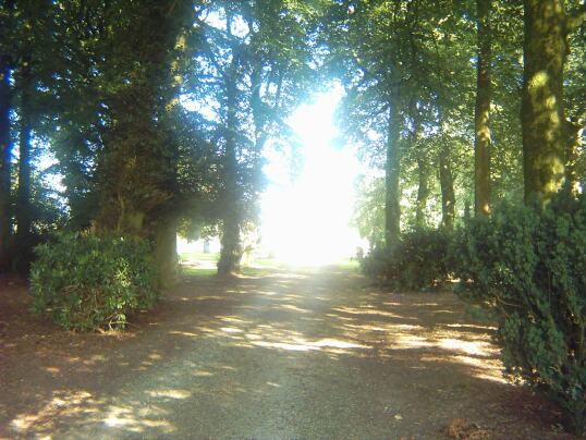 Entrance_to_clonmore_church.jpg (52614 bytes)