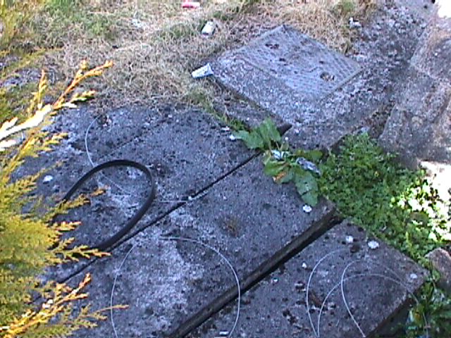 Source of air pollution from Primary School septic tank