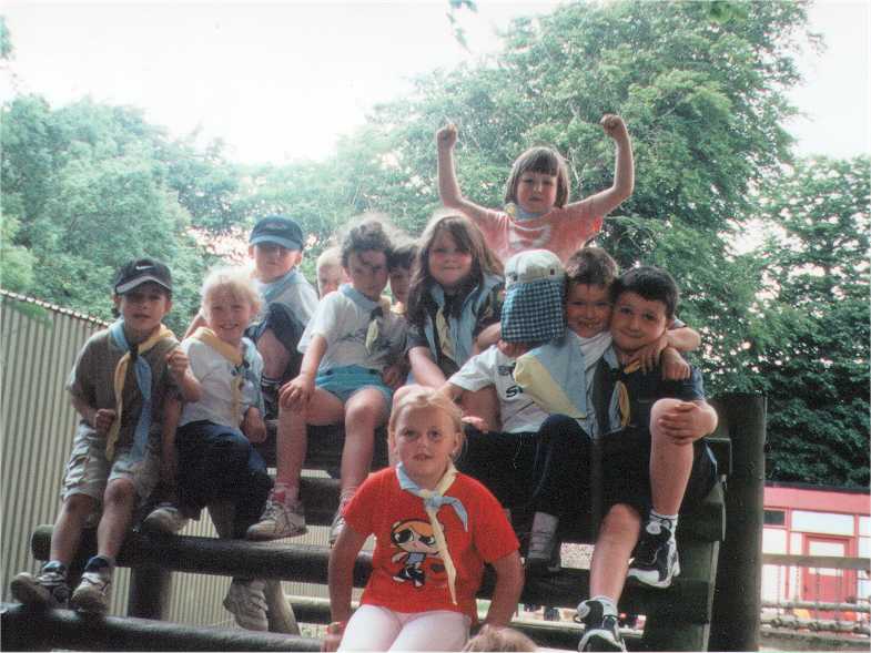 Beavers Day Out