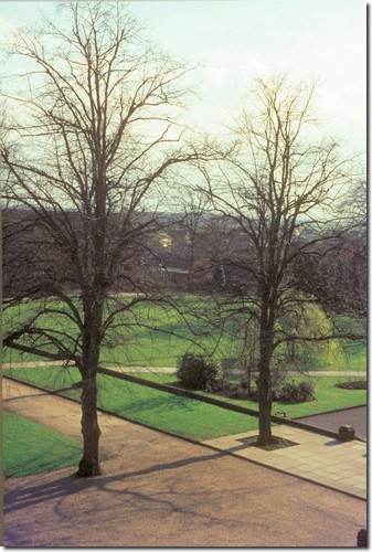 School view from boy's dorm's - Winter bare lime trees of the Avenue