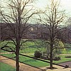 School view from boy's dorm's Winter bare lime trees of the Avenue
