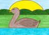 duck