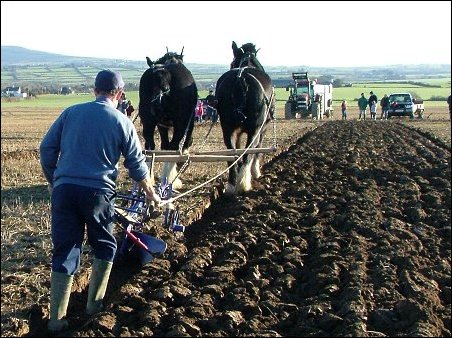 Ploughing