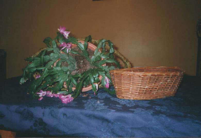 Baskets Galore !