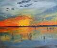 Okavango Sunset