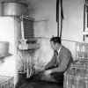 Bottling milk