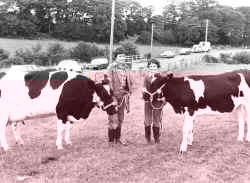 Show winners 1977
